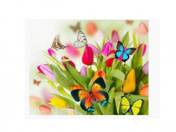 Картина по номерам арт. RAS20733 Бабочки на цветах 20*30 в кор.